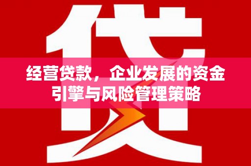 茂县经营贷款，企业发展的资金引擎与风险管理策略