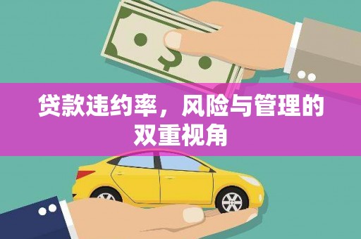 云和贷款违约率，风险与管理的双重视角