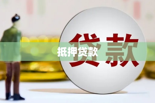 望城抵押贷款