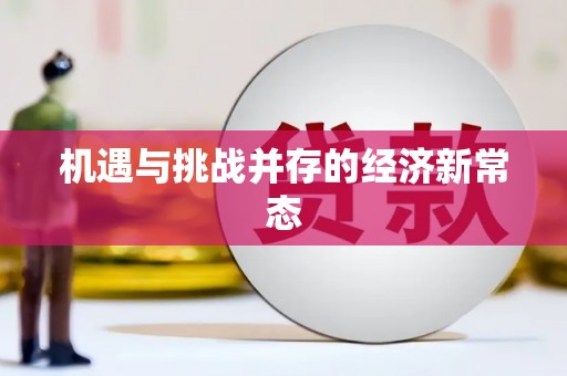 小金机遇与挑战并存的经济新常态