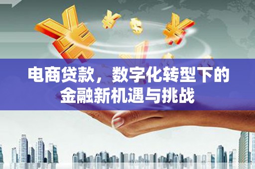 鄱阳电商贷款，数字化转型下的金融新机遇与挑战