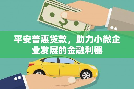 郸城平安普惠贷款，助力小微企业发展的金融利器