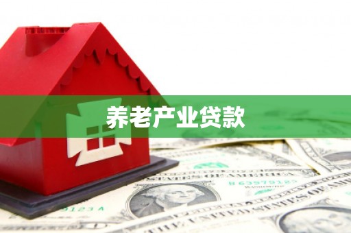 圣方济各堂区养老产业贷款