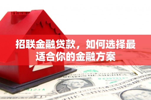 清远招联金融贷款，如何选择最适合你的金融方案