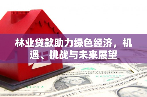 理县林业贷款助力绿色经济，机遇、挑战与未来展望