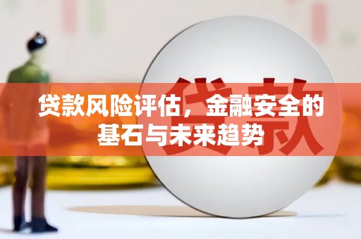 莱西贷款风险评估，金融安全的基石与未来趋势