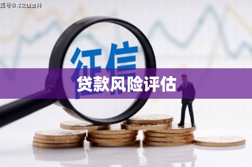 前镇贷款风险评估