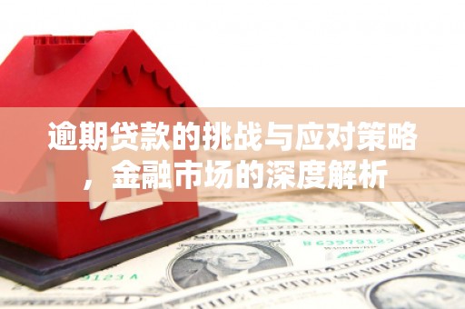 夏县逾期贷款的挑战与应对策略，金融市场的深度解析