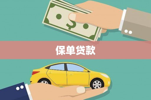 九原保单贷款