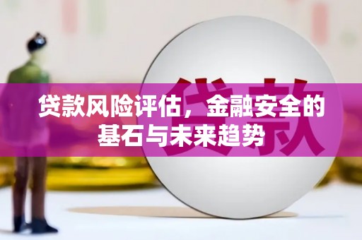 太保贷款风险评估，金融安全的基石与未来趋势