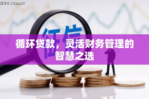 鹤庆循环贷款，灵活财务管理的智慧之选