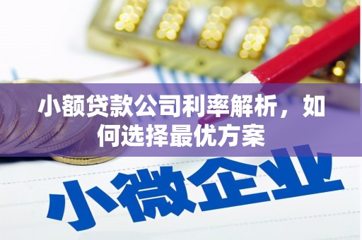八德小额贷款公司利率解析，如何选择最优方案