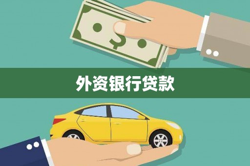 龙子湖外资银行贷款