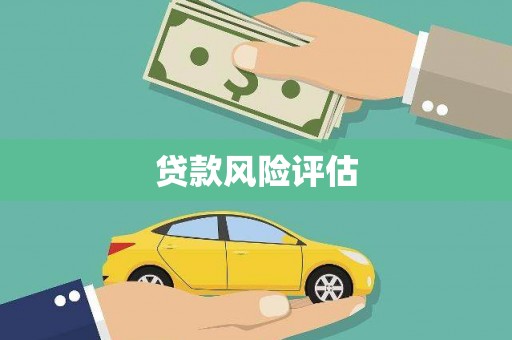 大社贷款风险评估