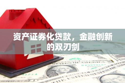 槐荫资产证券化贷款，金融创新的双刃剑