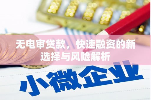 濮阳无电审贷款，快速融资的新选择与风险解析