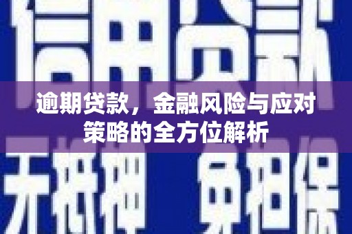 始兴逾期贷款，金融风险与应对策略的全方位解析
