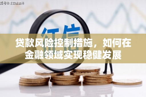 长岭贷款风险控制措施，如何在金融领域实现稳健发展