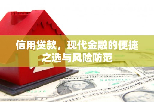 巴青信用贷款，现代金融的便捷之选与风险防范