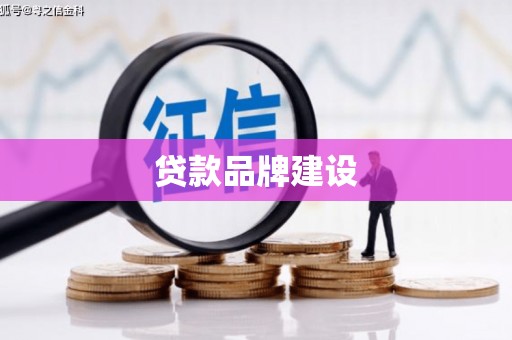 鸡泽贷款品牌建设