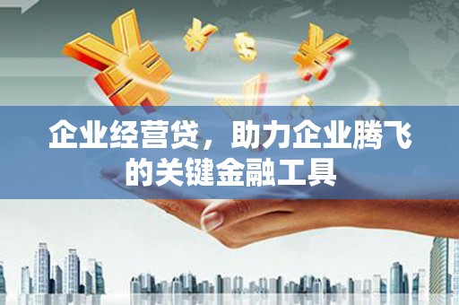 成武企业经营贷，助力企业腾飞的关键金融工具