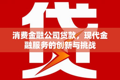 蒲城消费金融公司贷款，现代金融服务的创新与挑战