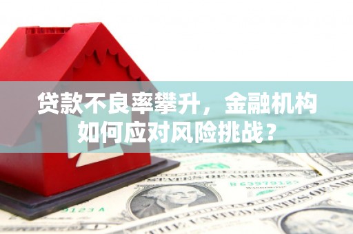 燕巢贷款不良率攀升，金融机构如何应对风险挑战？