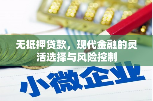西林无抵押贷款，现代金融的灵活选择与风险控制