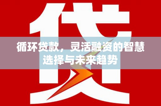 府谷循环贷款，灵活融资的智慧选择与未来趋势