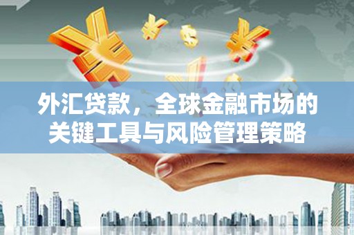 宣化外汇贷款，全球金融市场的关键工具与风险管理策略