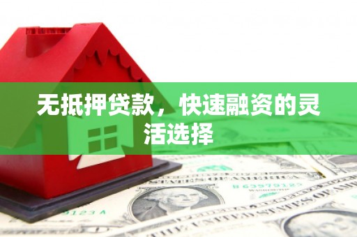 康保无抵押贷款，快速融资的灵活选择