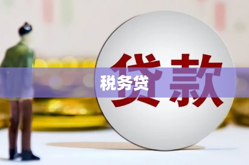 金寨税务贷