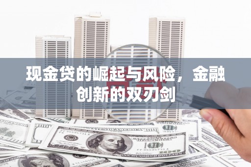 宝塔现金贷的崛起与风险，金融创新的双刃剑