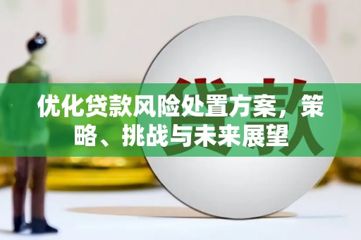 伊春优化贷款风险处置方案，策略、挑战与未来展望