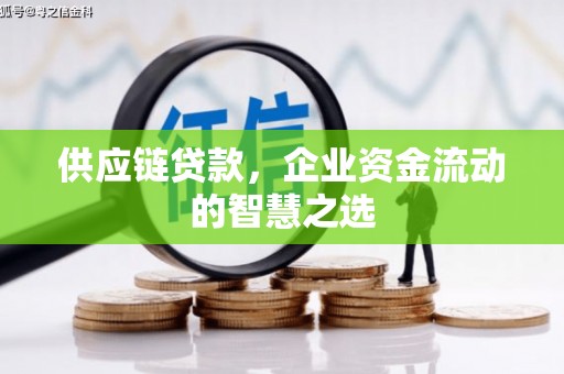 璧山供应链贷款，企业资金流动的智慧之选