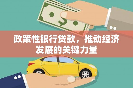 山阴政策性银行贷款，推动经济发展的关键力量