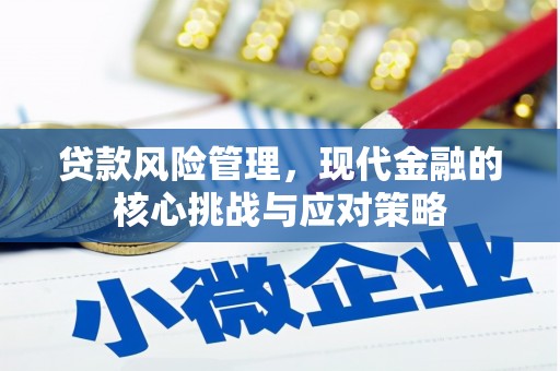 花莲贷款风险管理，现代金融的核心挑战与应对策略