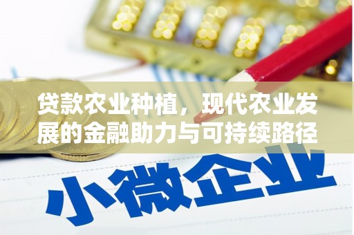 兴安贷款农业种植，现代农业发展的金融助力与可持续路径