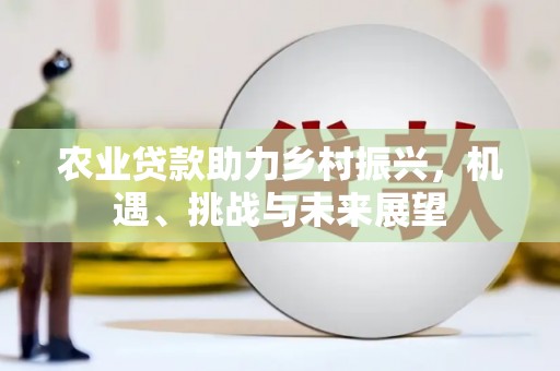 新建农业贷款助力乡村振兴，机遇、挑战与未来展望