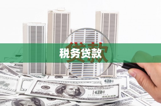 东兰税务贷款