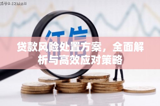 杏花岭贷款风险处置方案，全面解析与高效应对策略