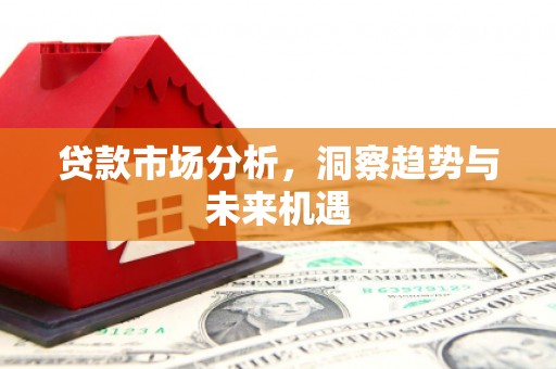 云霄贷款市场分析，洞察趋势与未来机遇