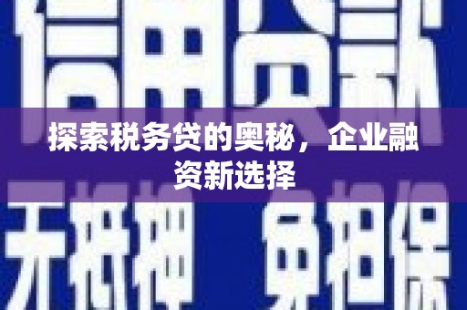 正安探索税务贷的奥秘，企业融资新选择