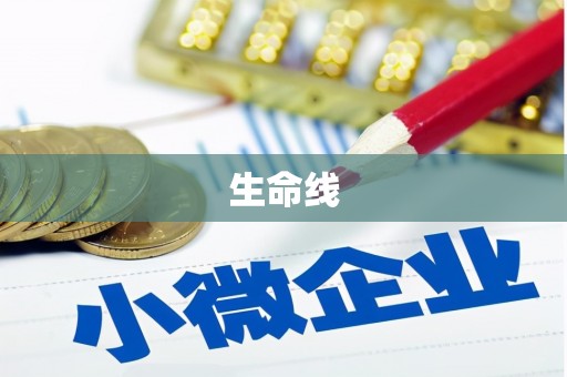 疏勒生命线