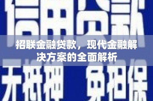 泰州招联金融贷款，现代金融解决方案的全面解析