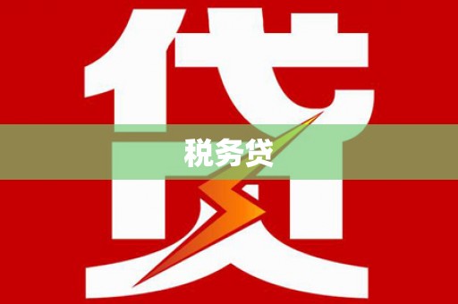 南京税务贷