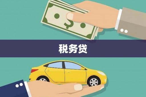 虎林税务贷