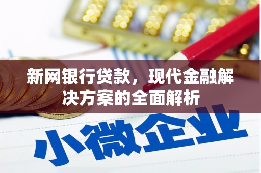 东区新网银行贷款，现代金融解决方案的全面解析