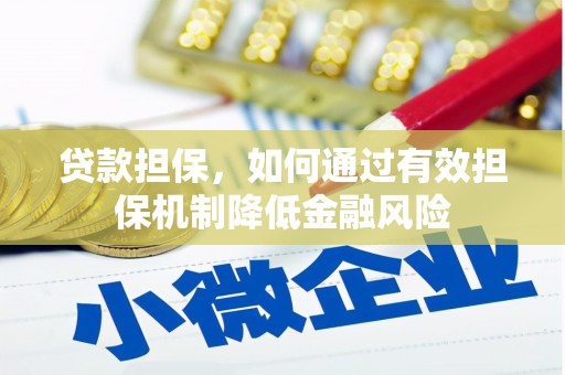 东乡族贷款担保，如何通过有效担保机制降低金融风险