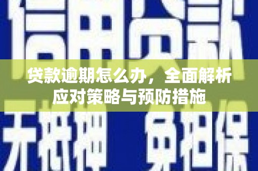 望牛墩贷款逾期怎么办，全面解析应对策略与预防措施